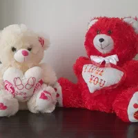 خرس پولیشی قطار نیکو