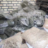 یونجه و پوشال شادپت