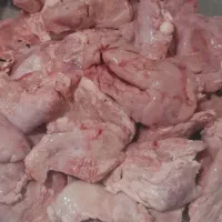 کوی معین زاده