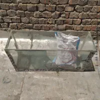 آکواریوم ماهی