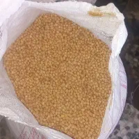 نخود بهاره ۴تن