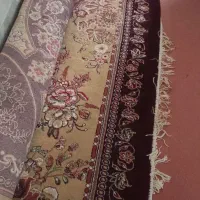 قالی ۱۲متری