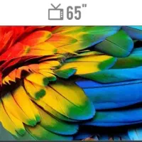 تلوزیون ۶۵ اینچ ماشین لباسشویی