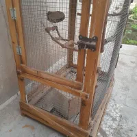 قفس چوبی عروس هلندی مرغ عشق طوطی فنچ