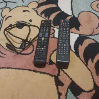 کنترل تلویزیون نوع هست