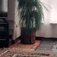 فروش گل مصنوعی