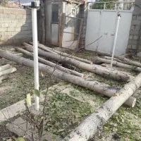 خرید و فروش چوب و درخت نئوپانی
