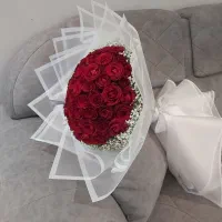 گل رز هلندی قرمز  صورتی ابی  بنفش