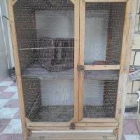لانه مرغ