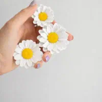 قالبسازی قالب