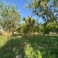 فروش باغ در جوشقان