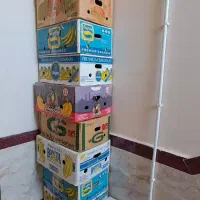 کارتن موز