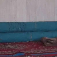 موکت در حد نو