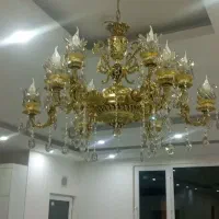 لوستر اقاقیا
