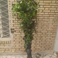 گل مصنوعی و استند گل طبیعی