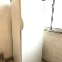 فزیزر بوش آلمان