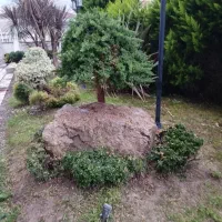 طراحی باغچه . فضای سبز و نگهداری