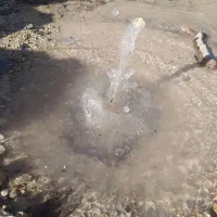 اکانت کالاف ایسونم