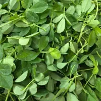 سبزی آماده تازه و خوش عطر بو