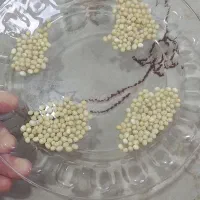 خاویار حلزون