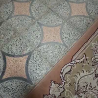 پیدا شده
