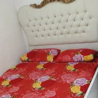 اجاره روزانه خانه ویلایی دربست