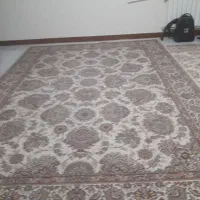 فرش،پادری،انار خوری،کریر بچه