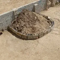 کود گوسفندی