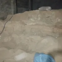 خاک اره درجه یک