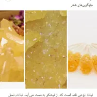 نیاز به استاد کار نبات (خلیفه)