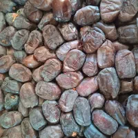 خرما رطب (بدون واسطه بخر)