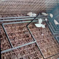 لوله‌کشی استخر و ساختمان