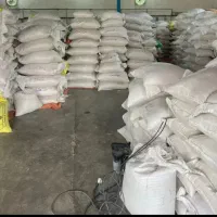 برنج طارم هاشمی مازندران
