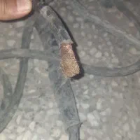 کابل مسی