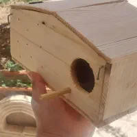لونه  لانه پرنده