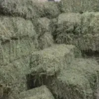 یونجه پرس شده خشک
