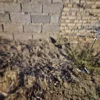 شن شسته رایگان