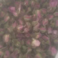 گل محمدی یاگل باغی