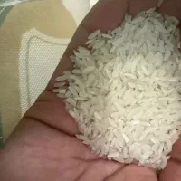 برنج پاکستانی