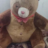 عروسک|اسباب‌بازی بچه|بندرعباس, |دیوار