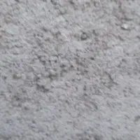 فظله کفتر