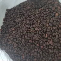 فروش و پخش قهوه ۱۰۰روبستا
