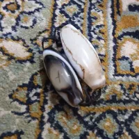 مهره سلیمانی