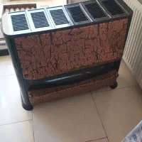 بخاری شارق توس