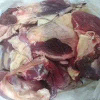 مخصووص کو بیده
