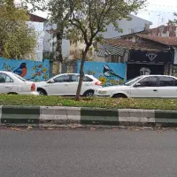 رفیق همیشگی(زمین تجاری گلسار)