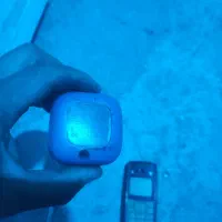 کوشی و ارپاد