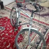 260|دوچرخه، اسکیت، اسکوتر|سرخس, |دیوار