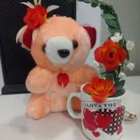 عروسک|اسباب‌‌بازی|قدس, شهر‌قدس|دیوار