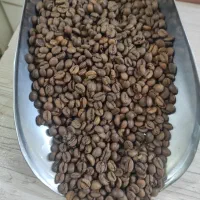 قهوه دم ودون